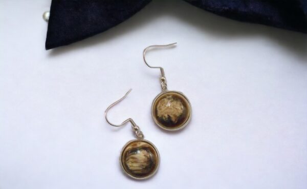 Light Brown Plexi Glass Geometric Fantasy Earrings