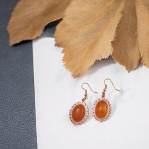 Red Agate Healing Earrings