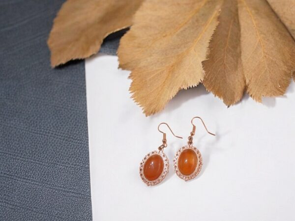 Red Agate Healing Earrings