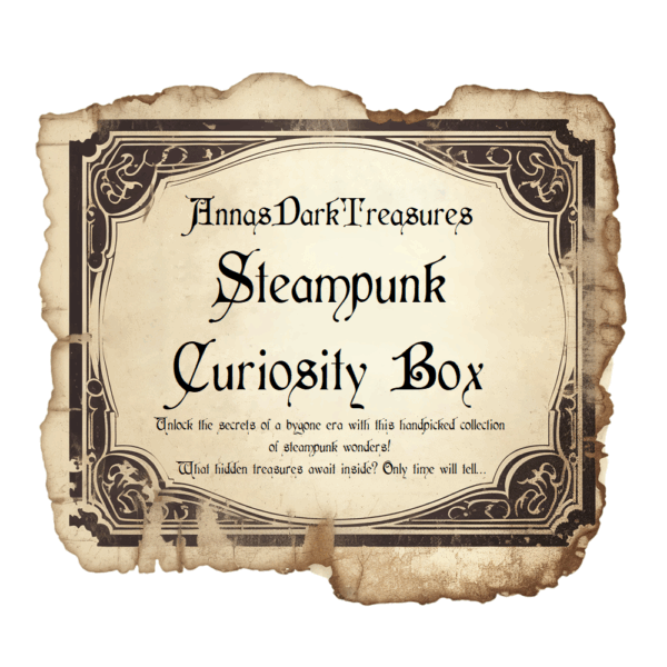 The Steampunk Curiosity Mystery Box | Gothic Steampunk & Victorian Oddities