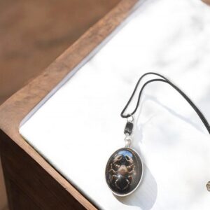 Cancer Horoscope Water Signs Necklace
