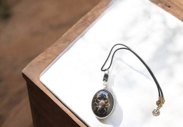 Cancer Horoscope Water Signs Necklace